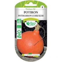Graines potiron potimarron Uchiki Kuri bio Les Doigts Verts
