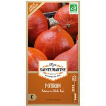 15 graines ab - Potiron Potimarron Uchiki Kuri - La Ferme Sainte Marthe