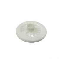 Poulie lanceur moteur Briggs Stratton