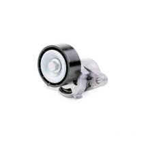 Poulie tendeur megane laguna sandero kangoo 8200603359