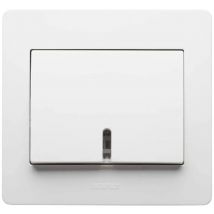 Bouton poussoir à voyant lumineux, diamètre 2, 10A 250V, blanc