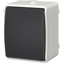 Poussoir lumineux étanche Aquatop IP54 – 250 V – 10 A – Éclairage extérieur