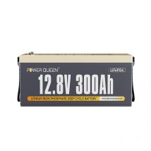 Batterie Lithium 12V300Ah 3840Wh Rechargeable LiFePO4 Power Queen bms 200A, 4000-15000 Cycles, pour solaire, Hors réseau, stockage de l'énergie