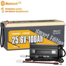 Batterie Lithium 24V100Ah 2560Wh Bluetooth LiFePO4+29,2V 20A Chargeur de Batterie au Lithium Power Queen Expédition en Deux Colis)