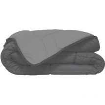 Poyet-motte - Poyet Motte Calgary Edredón poliéster Acero/Plata, poliéster, Acier/Argent, 240x220x1 cm