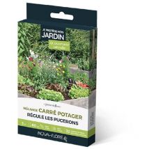 Prairies fleuries : carré potager je régule les pucerons 3 m2