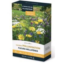 Prairies fleuries : Jachère je prend soin des pollinisateurs