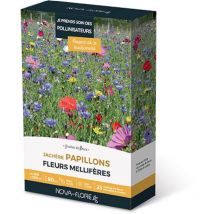 Novaflore - Prairies fleuries : Jachère papillons 100 à 200M2
