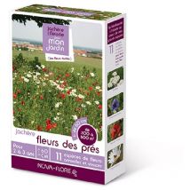 Prairies fleuries : jachères fleurs des prés 300 à 600 m2