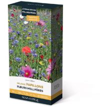 Prairies fleuries : j'invite les papillons 30 m2