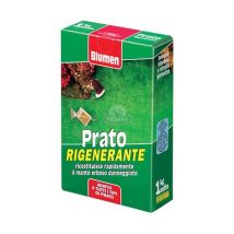 Prato rigenerante Blumen 1KG