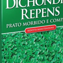 Dichondra noir des prés g 200