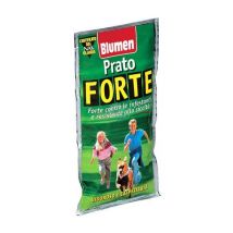 Prato forte vigoroso e calpestabile Blumen 200GR