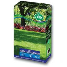 Prato Ombra e Sottoconifere 5KG Olter