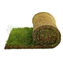 Pratoerboso - Prato pronto a rotoli in erba naturale by 25 mq