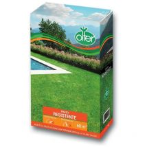 Prato Resistente Olter Disponibile nei formati da 1000 - 5000 gr - size 1 Kg