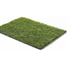 Biacchi Gianfranco - Gartenfreund Grüner Basik-Rasen 8mm h. 100 l. 2500 cm