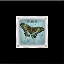 Butterfly 2 Framed Wall Art - Premier Housewares