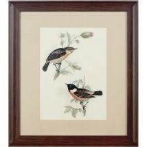 Premier Housewares - Framed Birds 2 Wall Art