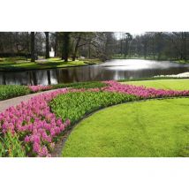 Premium Garden - Wurzelsperre Für Rasenkanten 10 M X 20 Cm Gartenfolien
