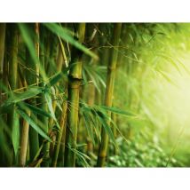 Wurzelsperre 3,5 X 0,6 M Gartenfolien - Premium Garden