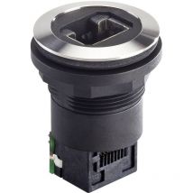 Schlegel - RRJVARJ45STB Presa da pannello RJ45 RRJVARJ45STB Presa Poli: 8P8C 1 pz.