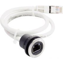 Schlegel - RRJRJ45SW150CM Presa da pannello RJ45 1855 Presa, Spina dritta Nero 1 pz.