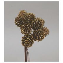 Euronatale - Présentoir de 6 Pignettes Naturelles Paillettes Dorées 2,5 cm Décoration de Noël