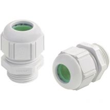 Presse-étoupe Lapp skintop st-hf-m 12 x 1.5 53111407 M12 Polyamide gris clair (ral 7035) 1 pc(s) X79506