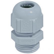Presse-étoupe Lapp skintop st PG16 53018040 PG16 Polyamide gris clair (ral 7035) 1 pc(s) S25289