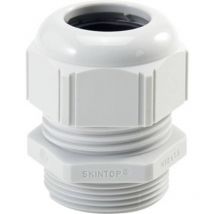 Presse-étoupe Lapp skintop str-m 40x1,5 ral 7035 lgy 53111550 M40 Polyamide gris clair (ral 7035) 1 pc(s)