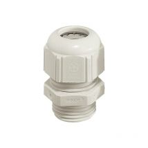 Presse-étoupe Lapp skintop STR-M25 53111530 M25 Polyamide gris clair (ral 7035) 1 pc(s) S25264