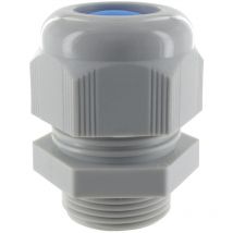 Presse étoupe - en polyamide - iso32 - gris BLM distribution 108322