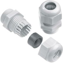 Weidmuller - Presse-étoupe Weidmüller vg PG16-K67 1909800000-1 PG16 Polyamide gris 1 pc(s) S23303