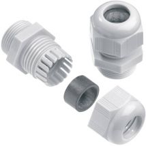 Presse-étoupe Weidmüller vg PG29-K67 1909820000-1 PG29 Polyamide gris 1 pc(s)