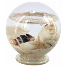 Origen - Signes Grimalt Cadeau Pisapapel Small Marine Ball Multicolore Pisapapèles 6x6x7cm 29316