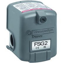 Telemecanique Sensors - Pressostato per autoclave fsg2 (tese) 4,6 bar