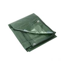 Telone Occhiellato Gr.180 Verde 4X 5