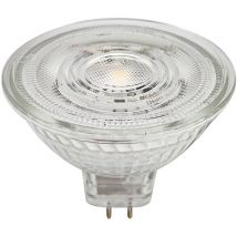 Led Gu5,3 bombilla 'Gu5,3 4,9W LED-Reflektor' en Transparente de Vidrio - Prios