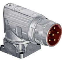 Prise coudée – 1 pc(s) – Fiche électrique – Nombre de phase(s), Configuration raccord, Intensité courant, Tension électrique, Type de port connectique