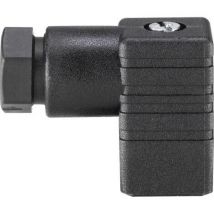 Bürkert Prise femelle 303142 2516 Nombre de pôles: 2 12 - 24 V 1 pc(s)