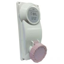 Palazzoli - Prise industrielle interverrouillée cee 2P+16A 24V IP67 avec transformateur