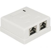 Delock - Prise réseau encastré insert avec plaque centrale et châssis cat 6 2 ports 86269 blanc A069111
