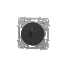 Prise tv anthracite Schneider Odace