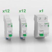 Probox Resi9 xe lot de disjoncteurs Schneider PFRB50)