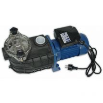 500562M Pompa per piscina, monofase, 0.5 hp - Productos Qp