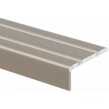 Seuil de nez de marche Aluminium Auto-adhésif Mat 24,5 x 10 mm