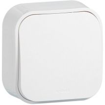 Interrupteur ou va-et-vient saillie Profil Eco blanc Arnould 54200