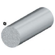 Profilo argento H.100 tondo pieno D.10 ** Arcansas pz 5,0