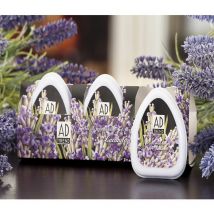 Profumatore ambienti armadi scarpiere gr 50 profumazioni e colori assortiti